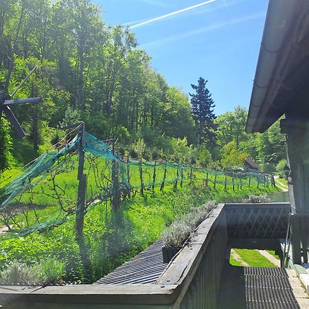 Das Altsteirische Landhaus - La Maison De Pronegg - Feriendomizil Im Biosphaerenpark Wienerwald Pressbaum Екстериор снимка
