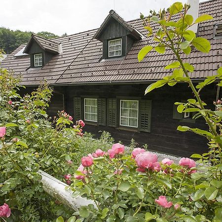 Das Altsteirische Landhaus - La Maison De Pronegg - Feriendomizil Im Biosphaerenpark Wienerwald Pressbaum Стая снимка