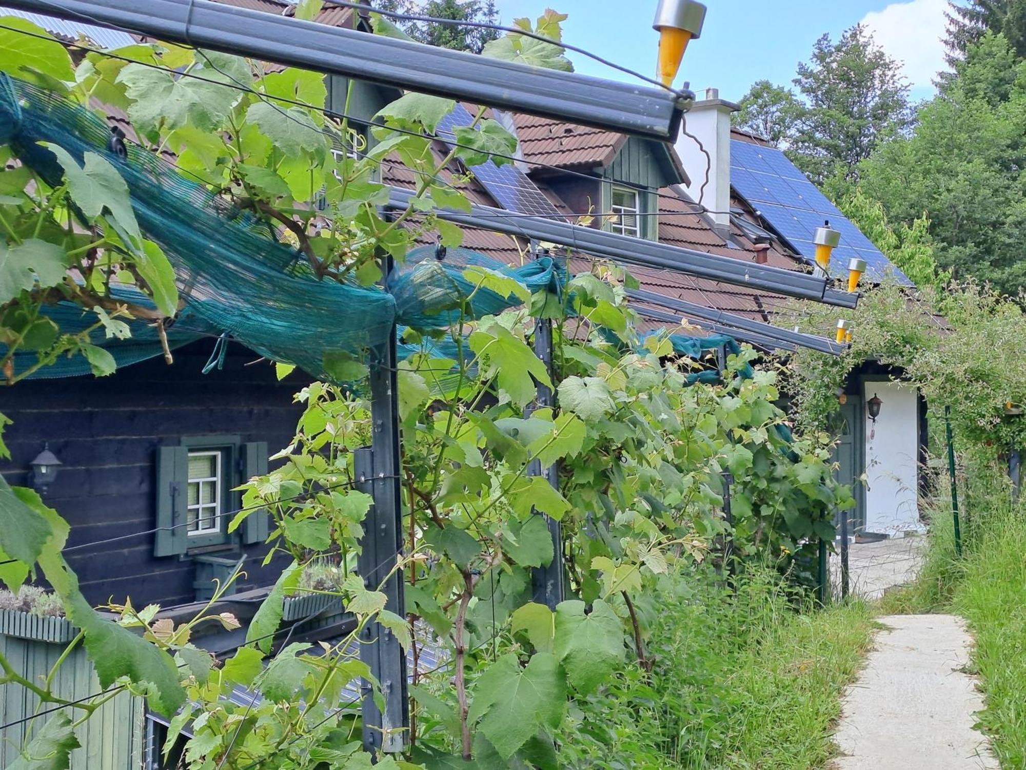 Das Altsteirische Landhaus - La Maison De Pronegg - Feriendomizil Im Biosphaerenpark Wienerwald Pressbaum Екстериор снимка
