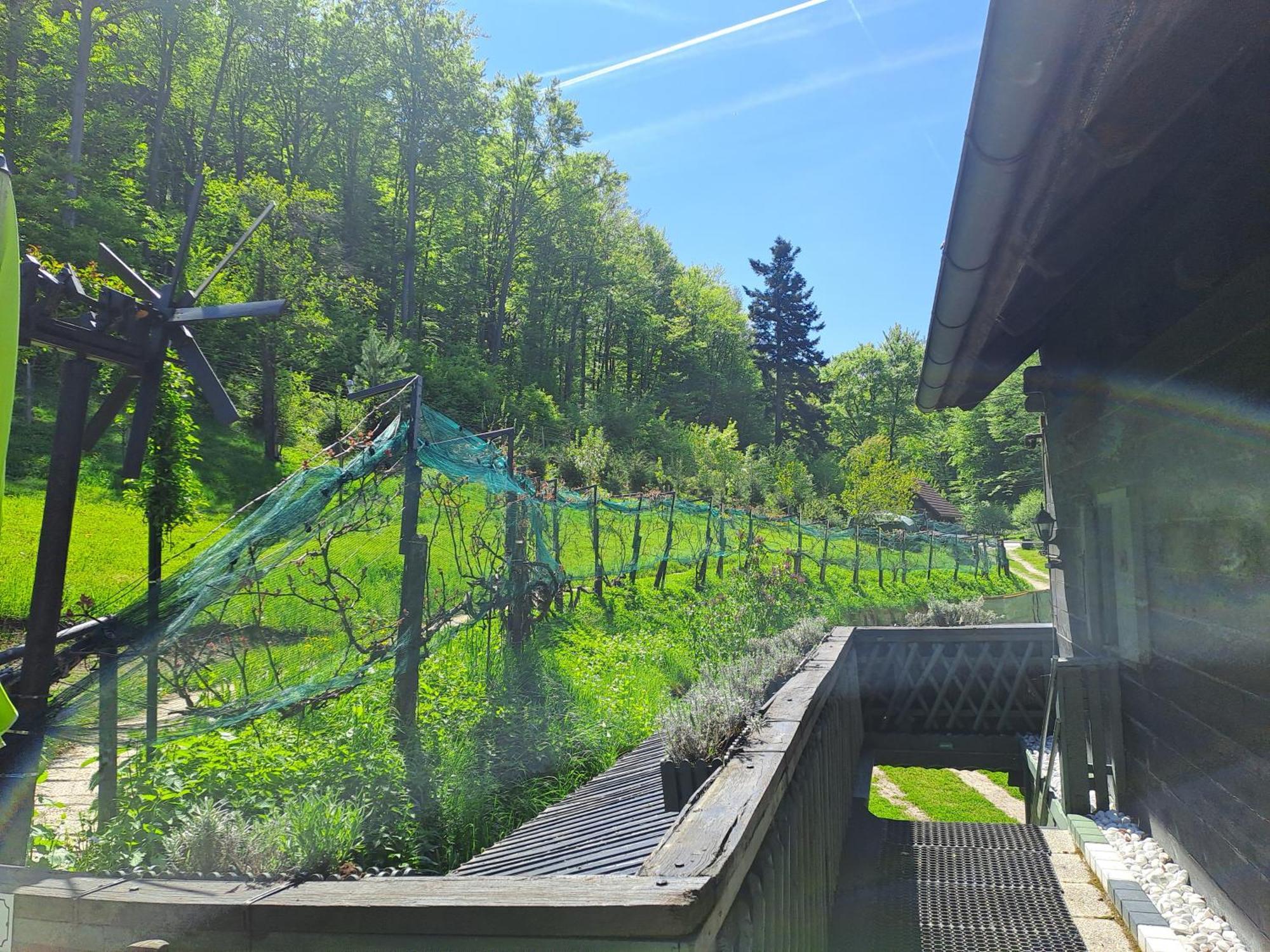 Das Altsteirische Landhaus - La Maison De Pronegg - Feriendomizil Im Biosphaerenpark Wienerwald Pressbaum Екстериор снимка