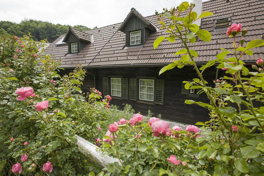 Das Altsteirische Landhaus - La Maison De Pronegg - Feriendomizil Im Biosphaerenpark Wienerwald Pressbaum Стая снимка